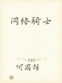 网络骑士