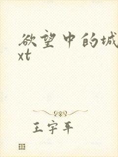 欲望中的城市txt