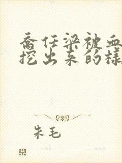 乔任梁被血肠子挖出来的样子