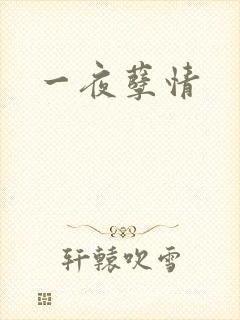 一夜孽情
