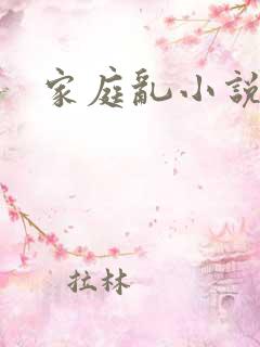 家庭乱小说