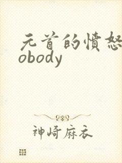 元首的愤怒之nobody