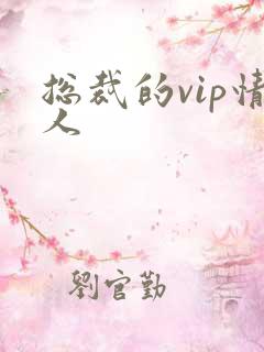 总裁的vip情人
