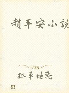 赵平安小说主角