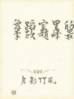 舞蹈室里的景色李欣赵峰最新章节