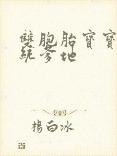 双胞胎宝宝的总统爹地