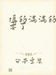 填的满满的 不要了