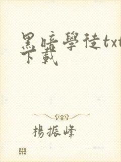 黑暗学徒txt下载
