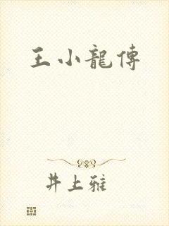 王小龙传