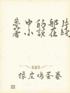 梦中的那片海原著小说在线阅读