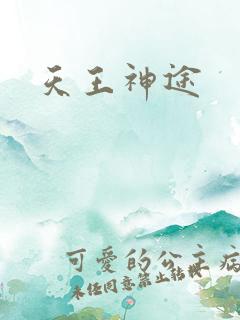 天王神途