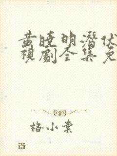 黄晓明潜伏者电视剧全集免费观看