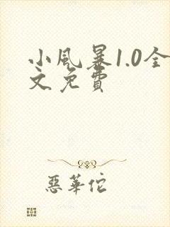 小风暴1.0全文免费