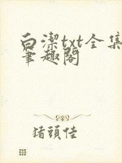 白洁txt全集笔趣阁