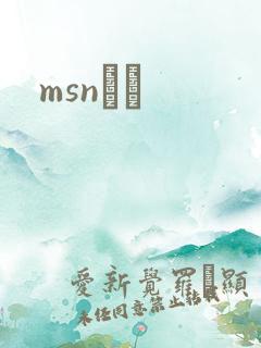 msnС˵
