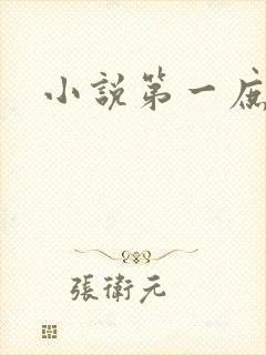 小说第一庶女