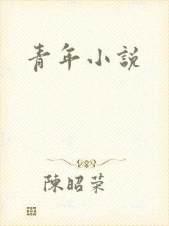 青年小说