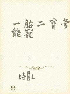 一胎二宝爹地超能宠