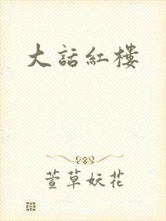 大话红楼
