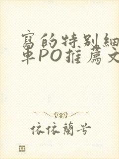 写的特别细的开车PO推荐文