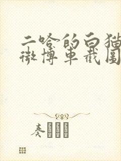 二哈的白猫师尊微博车截图