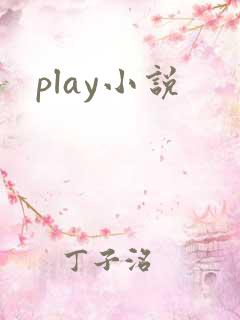 play小说