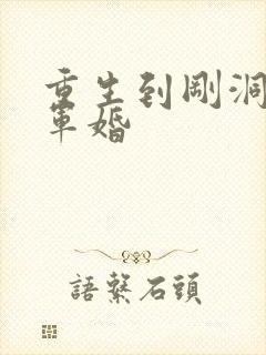 重生到刚洞房的军婚