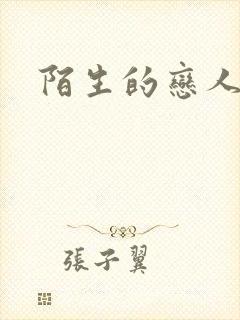 陌生的恋人小说