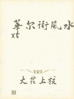 华尔街风水师txt