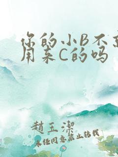 你的小B不就是用来C的吗
