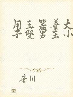 用玉器养大的皇子双男主小说