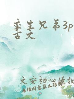 孪生兄弟3ph古文