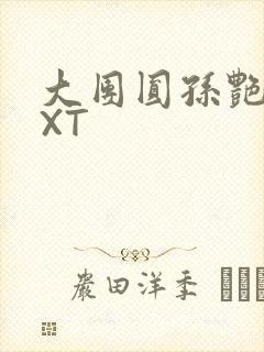 大团圆孙艳梅TXT