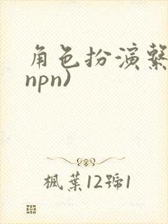 角色扮演系统(npn)