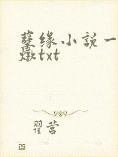 孽缘小说一家乱炖txt