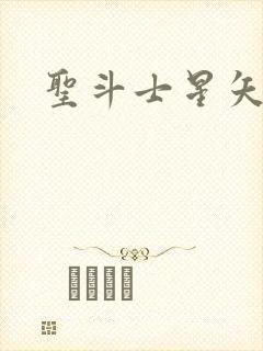 圣斗士星矢小说