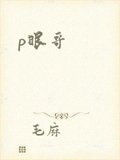 p眼哥