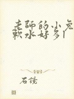 老师的小兔子好软水好多l