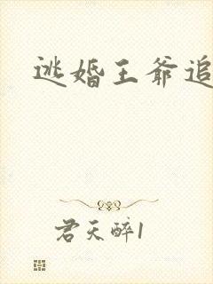 逃婚王爷追逃妃
