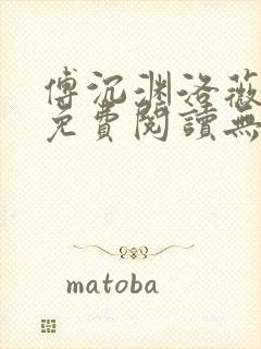 傅沉渊洛薇小说免费阅读无弹窗