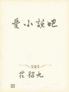 爱小说吧