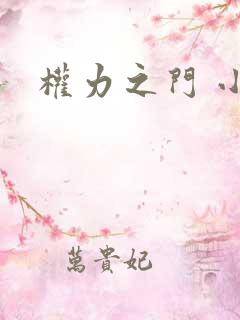 权力之门 小说