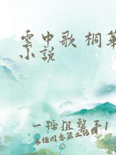 云中歌 桐华 小说