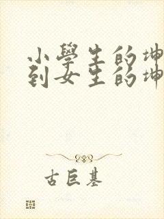 小学生的坤坤放到女生的坤里