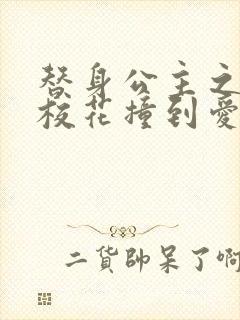 替身公主之杀手校花撞到爱