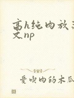 高h纯肉放荡h文np