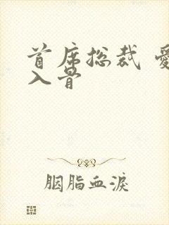 首席总裁 爱你入骨