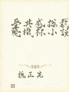 受共感总裁攻的飞机杯小说叫什么