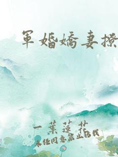 军婚娇妻撩人
