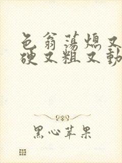 色翁荡熄又大又硬又粗又动态图